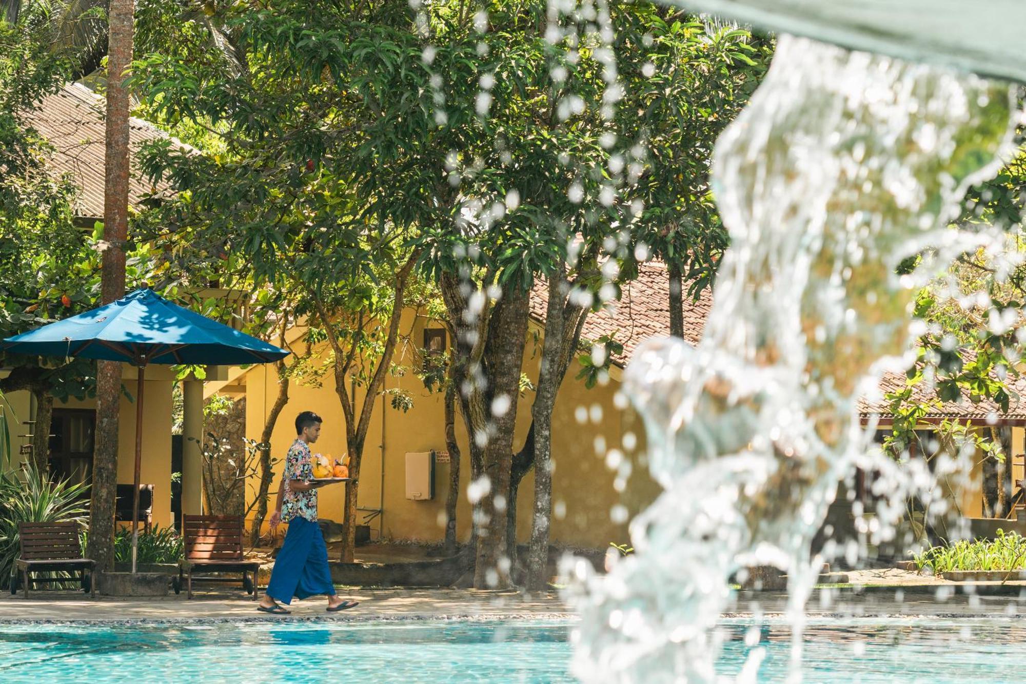 Siddhalepa Ayurveda Resort - All Meals, Ayurveda Treatment And Yoga Wadduwa Exteriér fotografie