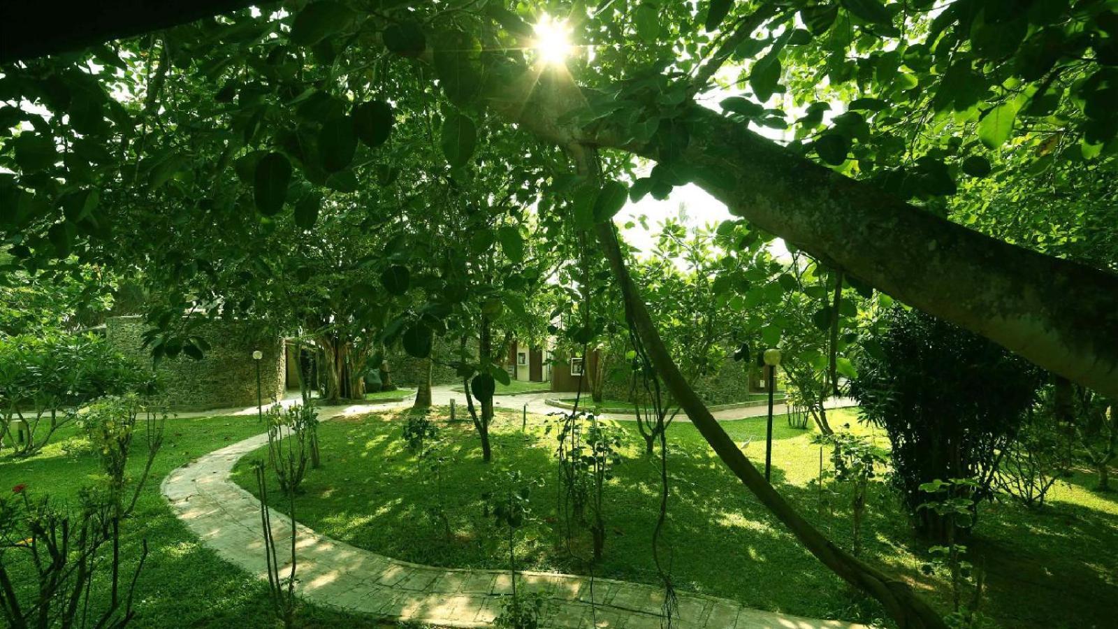Siddhalepa Ayurveda Resort - All Meals, Ayurveda Treatment And Yoga Wadduwa Exteriér fotografie