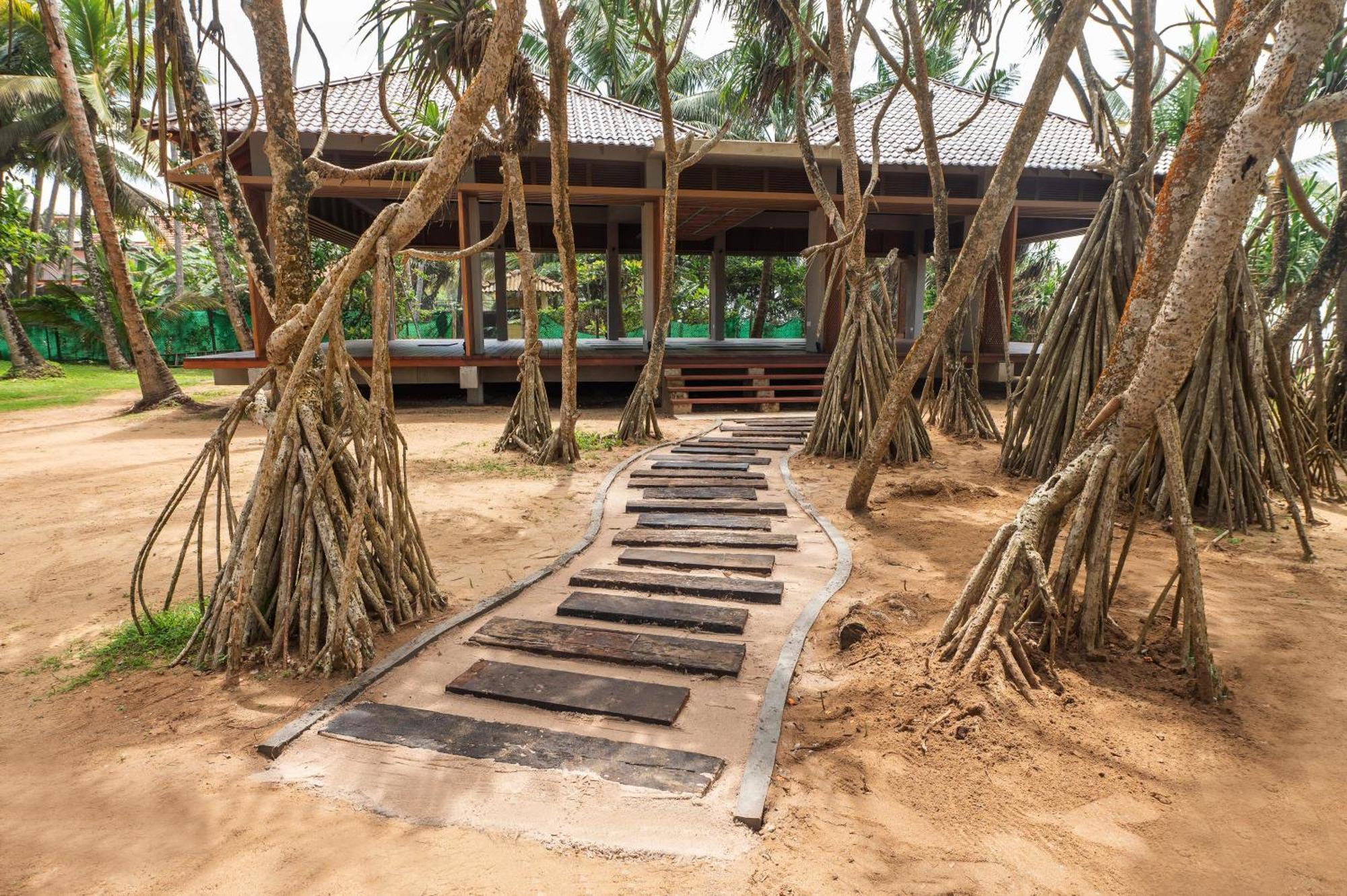 Siddhalepa Ayurveda Resort - All Meals, Ayurveda Treatment And Yoga Wadduwa Exteriér fotografie