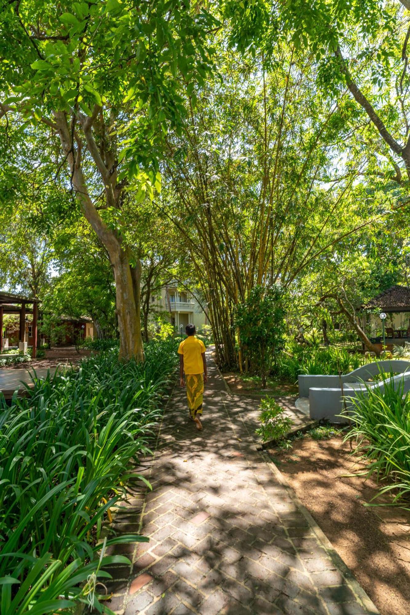 Siddhalepa Ayurveda Resort - All Meals, Ayurveda Treatment And Yoga Wadduwa Exteriér fotografie